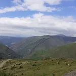 Vandrerhjem Escanlar *