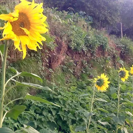 Escanlar 旅馆 Tremado