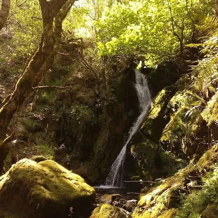 Escanlar Tremado
