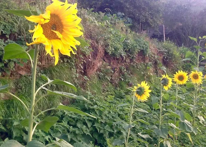 Escanlar Albergue Tremado